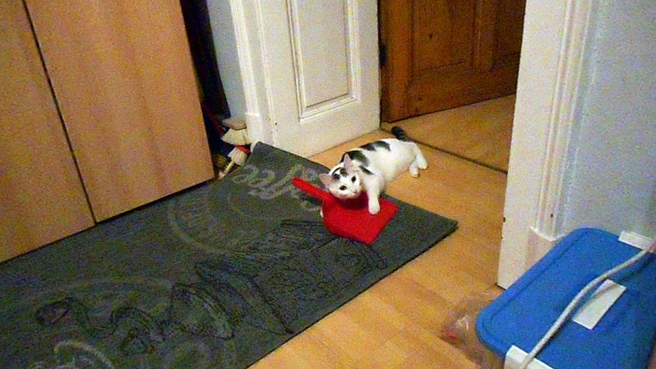 Vinzent am 17.10.2016