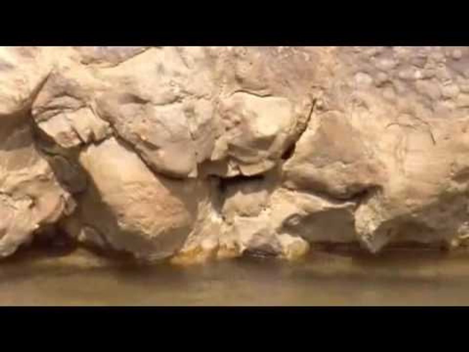 Planet Earth 100 Million Years In The Future - What will happen to our world?