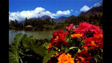 Que dois je dire à Nathalie