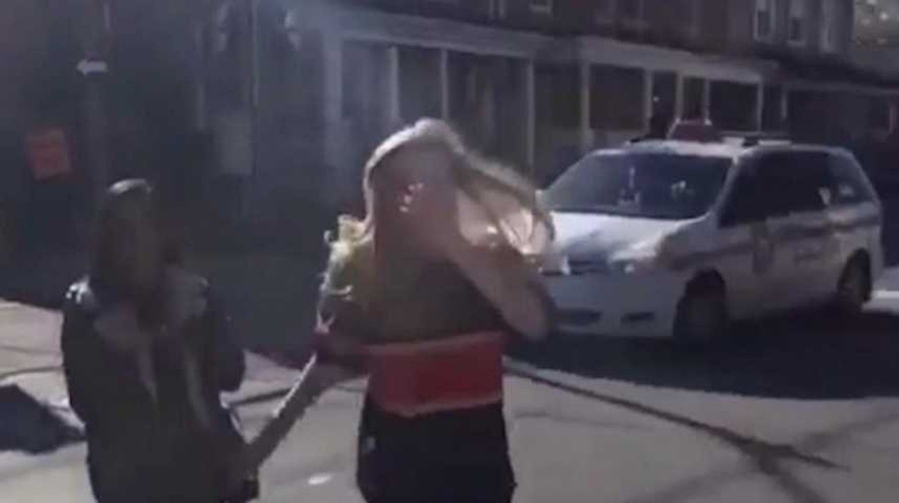 Frapper un cheval canadien est deux fois plus dangereux que vous ne le pensez