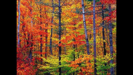 My third video to Kawashima Eigo