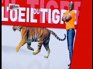 Oeil du tigre rend hommage à Déguène chimére, Fama Thioune craque et fond en larmes