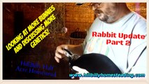 Rabbits - Overdue Rabbitry Update Part 2 More Rabbits and More Rabbit Genetics.mp4