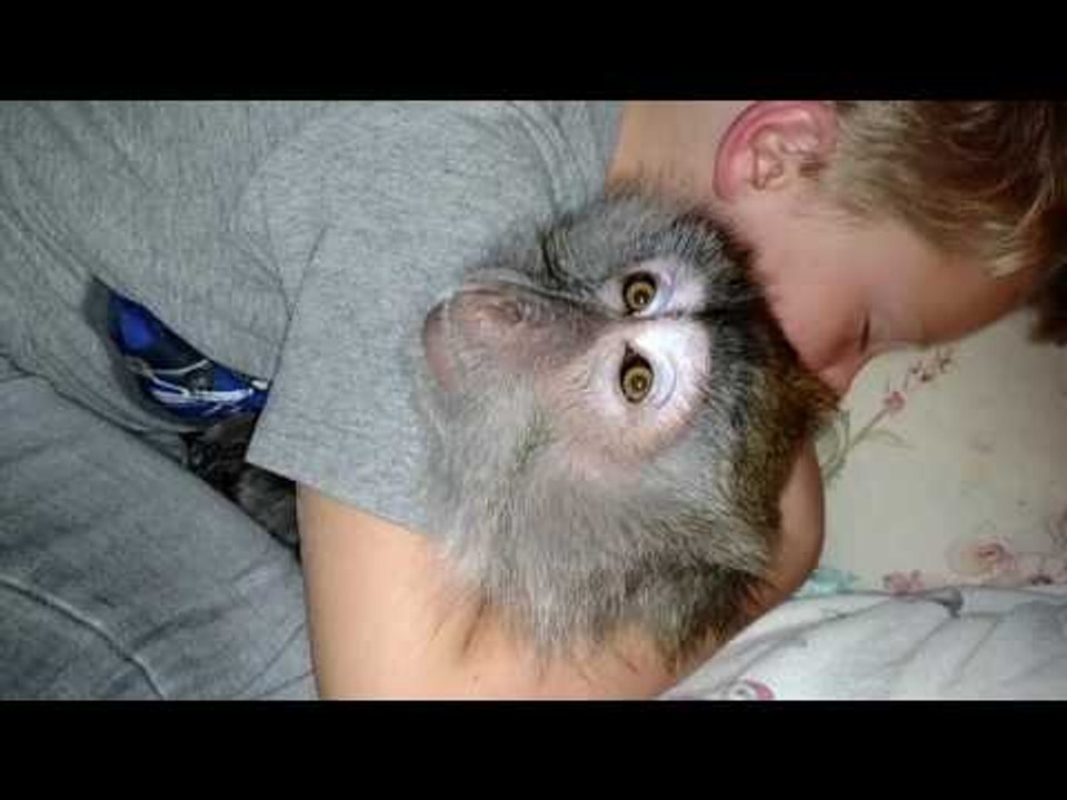 Little Boy and His Monkey Cuddle Together