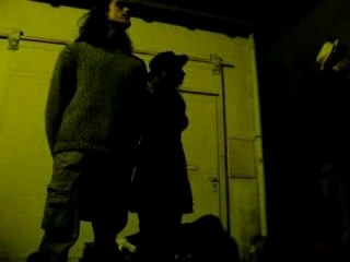 les pigeons qui roucoulent 1