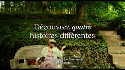 LE TECKEL Bande Annonce (Todd Solondz - 2016)