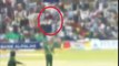 Ghost caught in LIVE CRICKET MATCH Pakistan Vs Bangladesh in Abu Dhabi Stadium rRwaPIoV3Ss