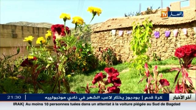 تيزي وزو دشرة بومسعود..مثال للنظافة وفخر القبائل