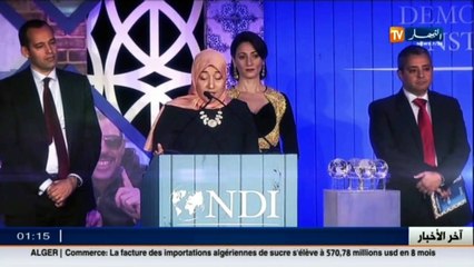 سياسة  أكذوبة واشنطن.. المعهد الديمقراطي الوطني الأمريكي