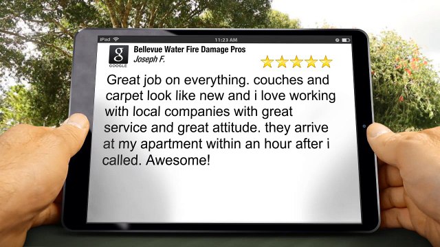 Bellevue Water Fire Damage Pros Excellent 5 Star Review by Joseph Ferguson