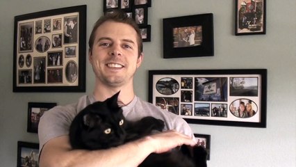 10 Things Cat Owners Have Probably Done