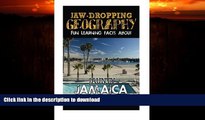 READ  Jaw-Dropping Geography: Fun Learning Facts About Jaunty Jamaica: Illustrated Fun Learning