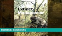 Enjoyed Read Extinct Madagascar: Picturing the Island s Past