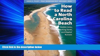 Popular Book How to Read a North Carolina Beach: Bubble Holes, Barking Sands, and Rippled Runnels