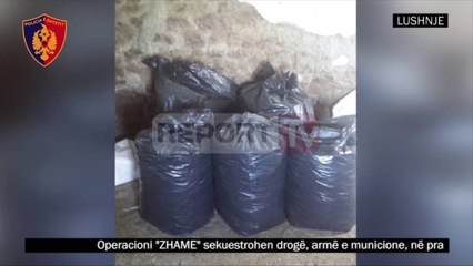 Report TV - Lushnje, sekustrohen 224 kg kanabis, arrestohet kultivuesi