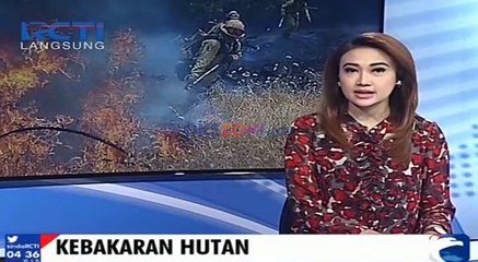 Download Video: Kebakaran Hutan