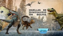 Cámara al Hombro - Huellas de dinosaurio en Bolivia