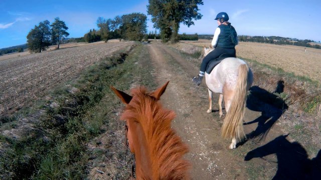 Balades à cheval dans le Sud-Ouest