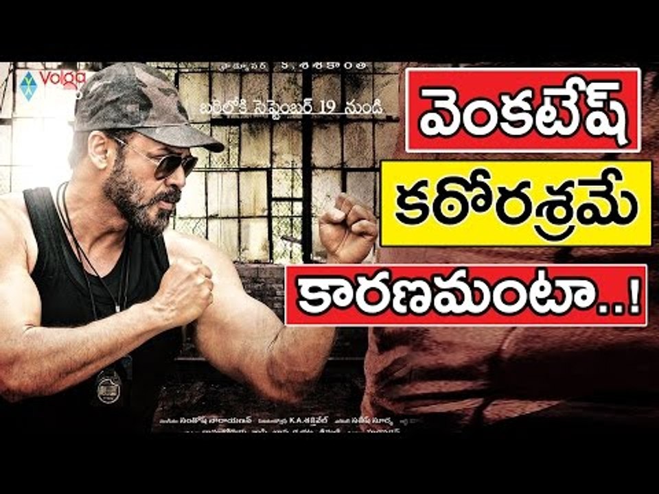 Venkatesh Hard Working Only The Reason..! || 2016 Latest Tollywood #Gossips || Volga Videos