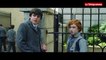 Sing Street - Bande-annonce