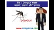 Dengue fever Causes, Symptoms, Treatment and prevention tips in Hindi