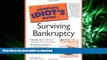 EBOOK ONLINE The Complete Idiot s Guide to Surviving Bankruptcy FREE BOOK ONLINE