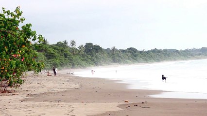 Sunset Surf Dominical
