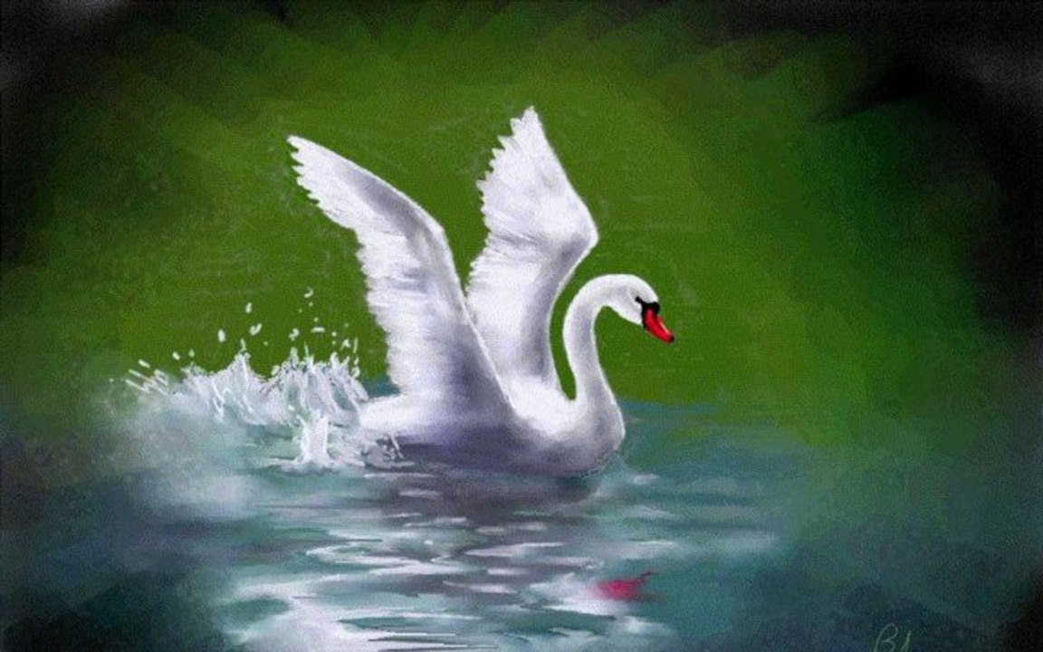 Yeni Türkü - Telli Turna