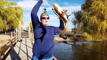 Alligator handler tries to play 'Pokemon' with real alligator