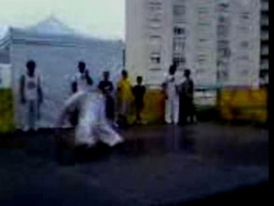 capoeira arachnima