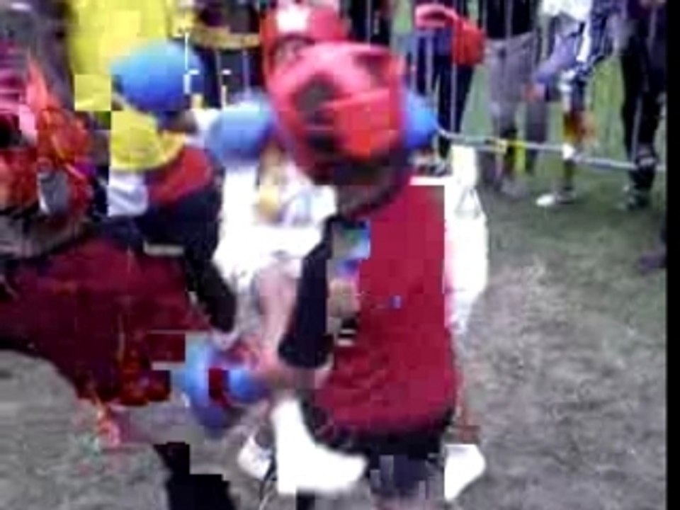 Boxe arachnima