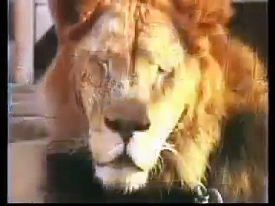 Nakhra Punjab da, City Of Wrestlers Gujranwala.mp4 - YouTube
