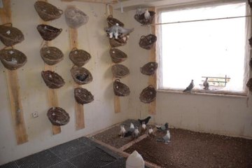 Türkiye'nin İlk Güvercin Oteli Diyarbakır'da Açıldı