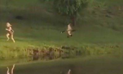 Une oie se venge d'une petite fille qui les ennuie !