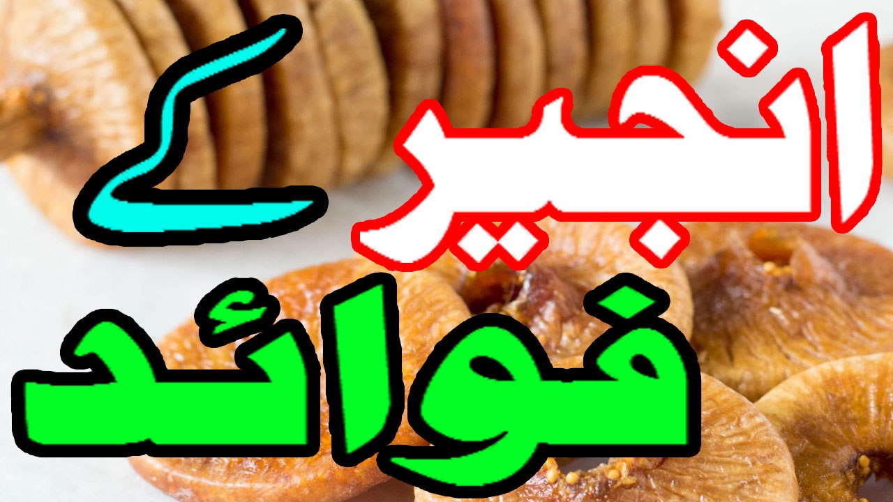 Anjeer Ke Faide In Urdu |Best Health Benefits of Figs (Anjeer) Urdu / Hindi