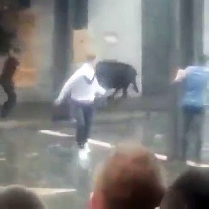 Street bullfighting in spain PART 2 / Calle corridas de toros en España