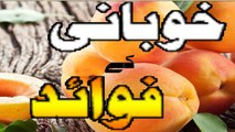Khoobani Ke Fawaid Benefits of Apricot  Khubani ke Fayde  خوبانی کے فوائد