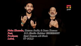 Fakhar E Mariam   Hassan Sadiq And Raza Hassan New Noha  2017