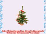 Kleiner Weihnachtsbaum 26 cm. SchÃ¶ne Tischdekoration fÃ¼r Weihnachten! Weihnachtstanne/ Tannenbaum!