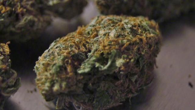 Man Tries to Trade Weed for Cop's Snowmobile