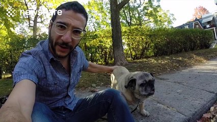 Man walks blind dog with remote control car