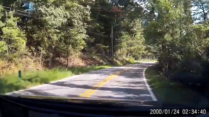 Il se prend un ours en voiture : choc bien violent!