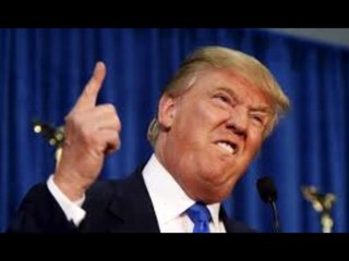 Woman says Trump  groped her under her  skirt