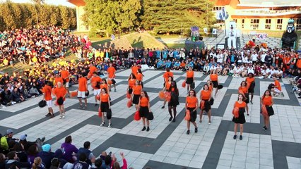 Ol'INPiades 2016 - Chorée Pagora