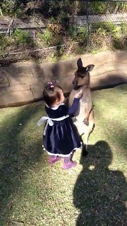 Mina Pokusava Da Zagrli Kengura...