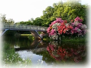 Zeven Regenbogen.. Dana Winner ..-9-xBI3cAvvE-HQ