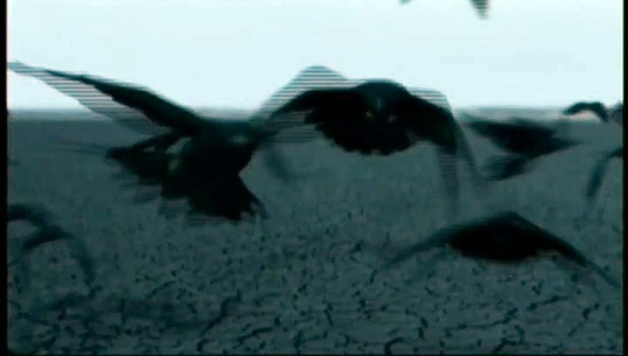 MADONNA Frozen Sticky & Sweet Tour Backdrop 2009