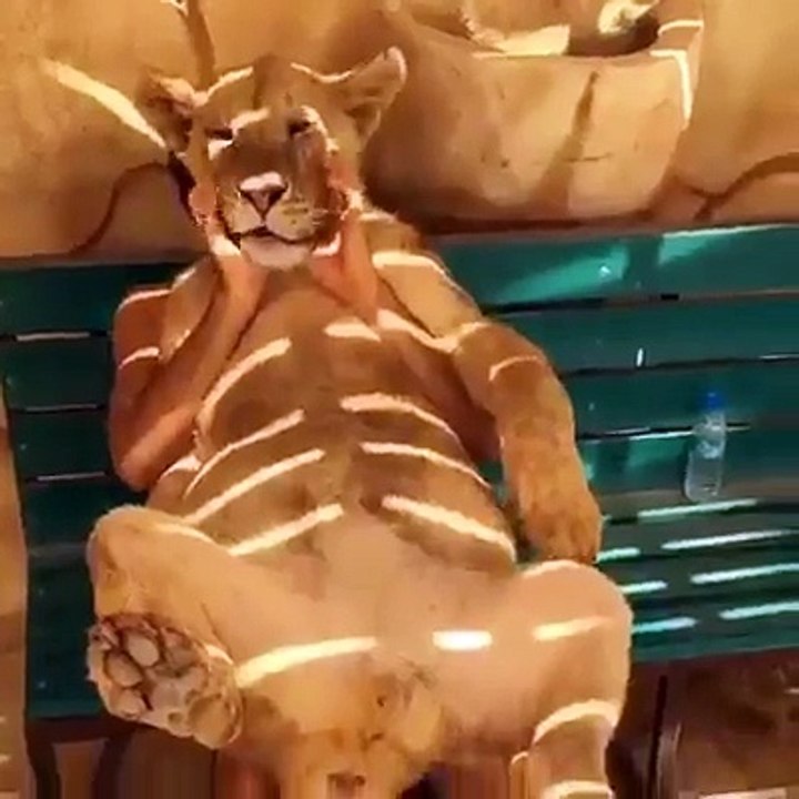 Masaza Lava Za Ovo Treba Bas Biti Hrabar i Lud...