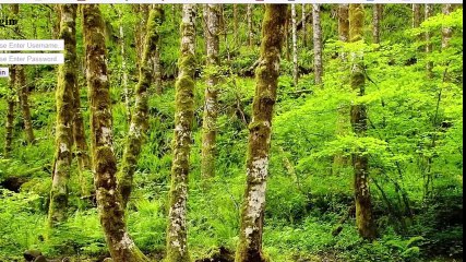 Login Form Design With Glass Effect Using Css3 In Urdu_Hindi - YouTube