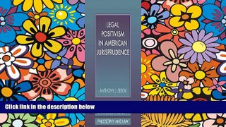 Must Have  Legal Positivism in American Jurisprudence (Cambridge Studies in Philosophy and Law)